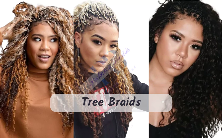 Tree Braids