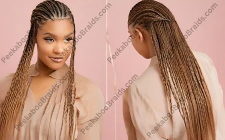 Micro Braids: Complete Guide to Stylish Braided Looks