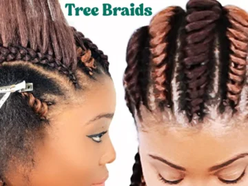 tree braids